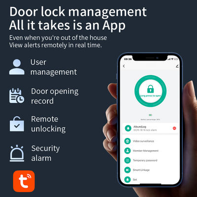 Qleung S958Max Tuya Door Lock with Card Key Password   Face Fingerprint Palm Recognition for Apartment Home