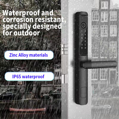 Black Zinc Alloy Smart Lock with Fingerprint Password NFC Keyless Entry