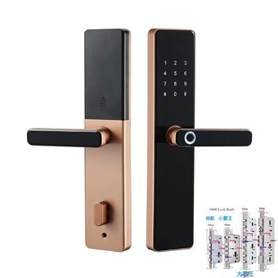 6068 Mortise TTlock Wifi Tuya در قفل با اثر انگشت و رمز عبور