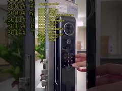 6068 Mortise Aluminum Alloy CNC Smart Wifi Door Lock با 3D Face Recognition Intercom دروازه های هوشمند وای فای با 3D Face Recognition